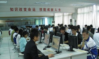 掌握设计技能，从电脑培训开始——招生进行中